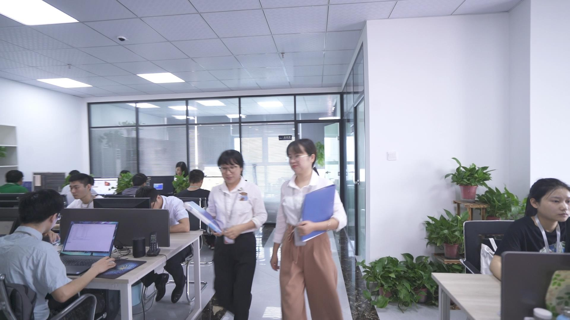 新黄金城hjc222陪诊小程序开发怎么选？本土开发公司资质与定制服务详解